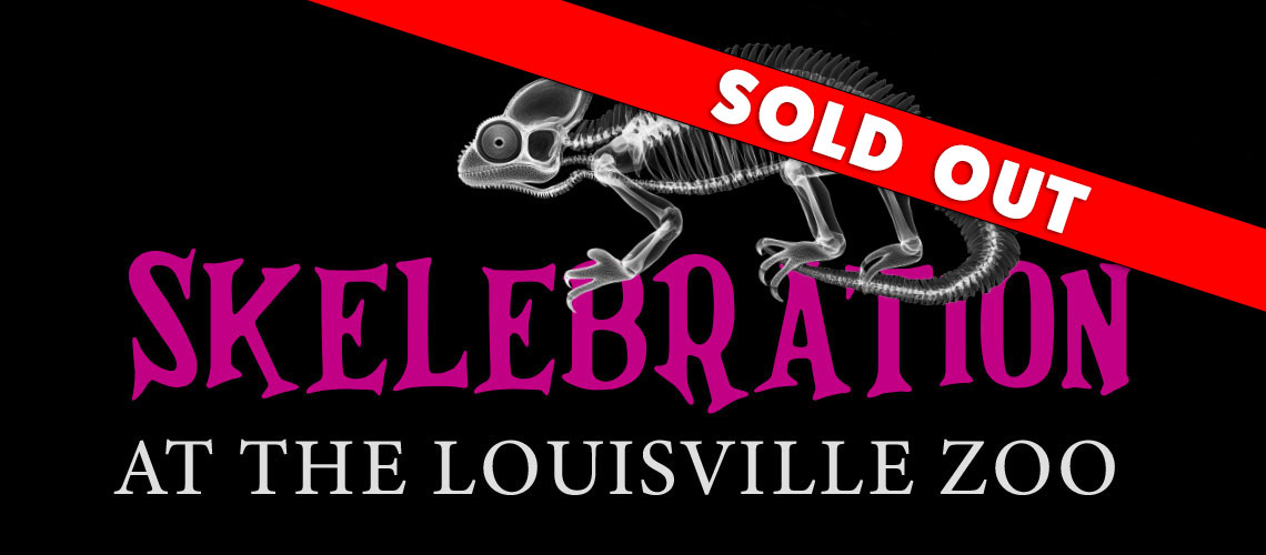 Skelebration (2026) SOLD OUT!
