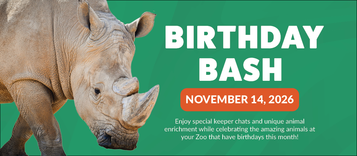November Birthday Bash