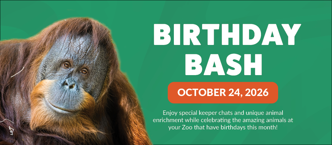 October Birthday Bash