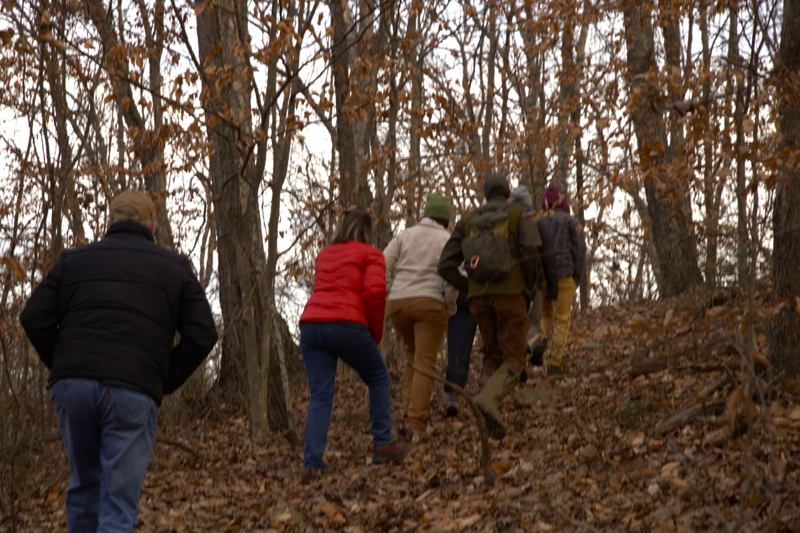 First Sunday Nature Hike