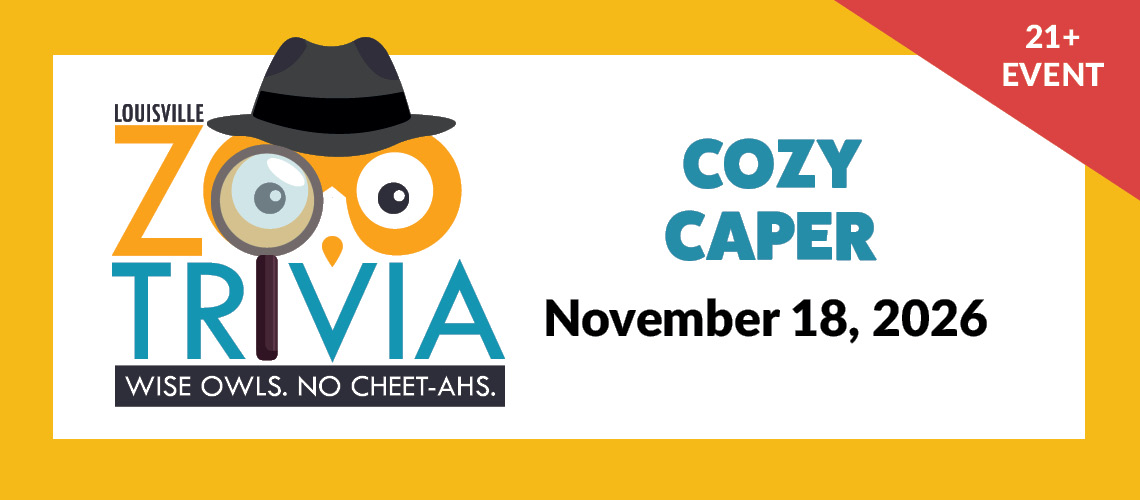 Trivia Night - Cozy Caper