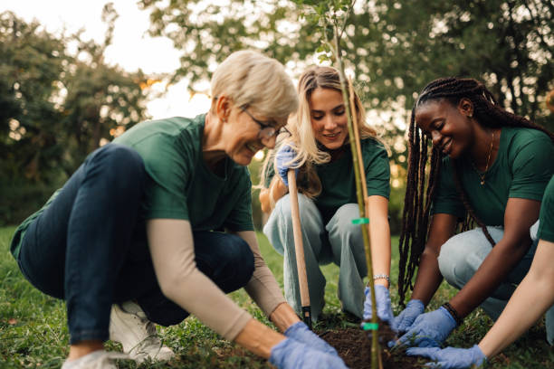 DIY Series: Befriending Your Tree(s) @ SOKY Center