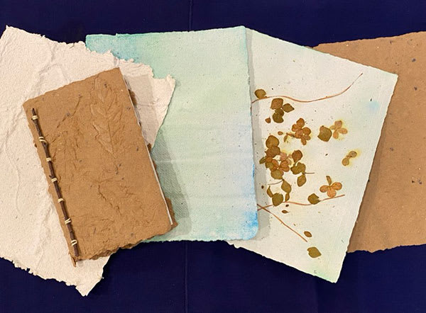 Nature (+)2: Bookmaking from Scratch