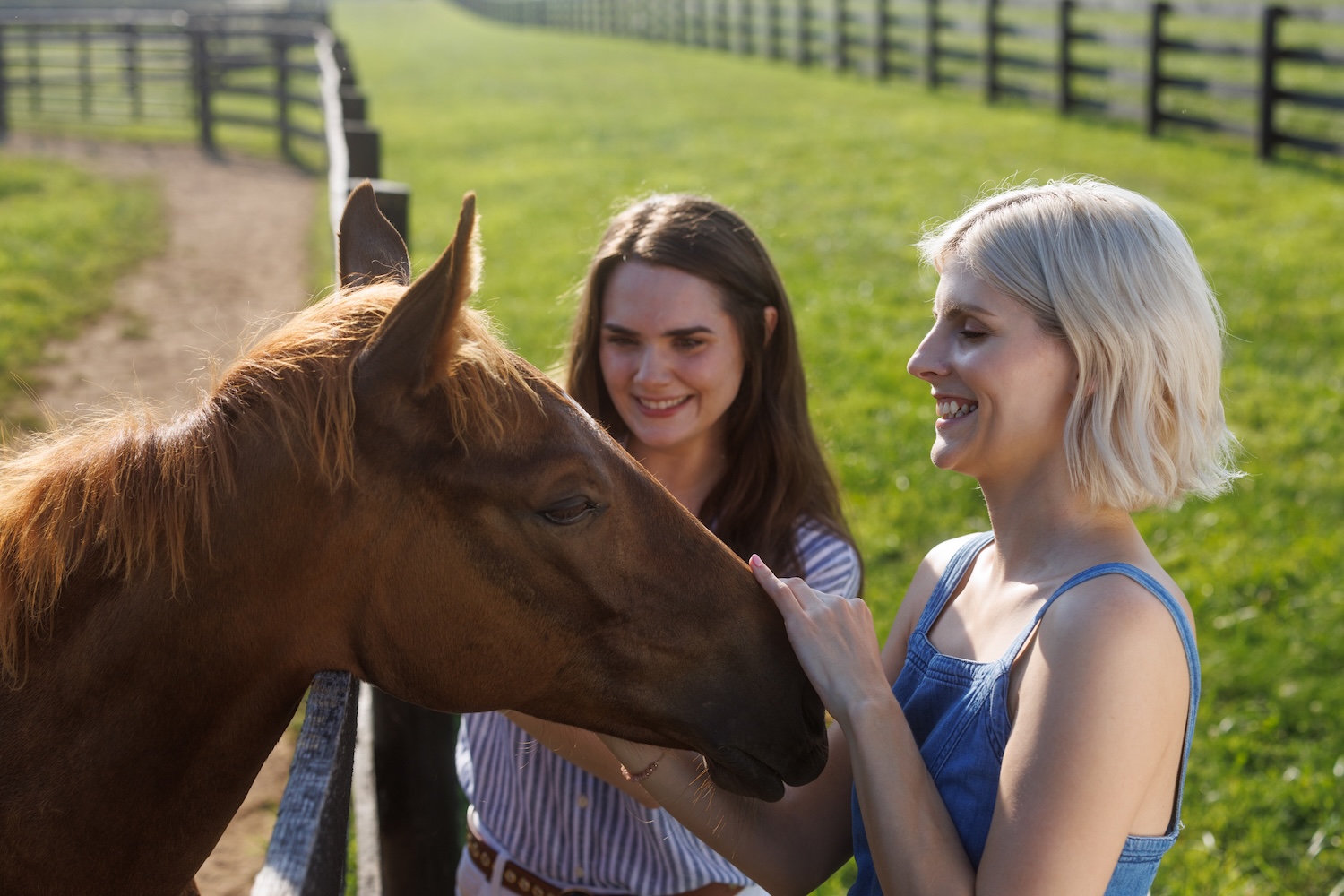 Breeders' Cup / Best of Kentucky Tour
